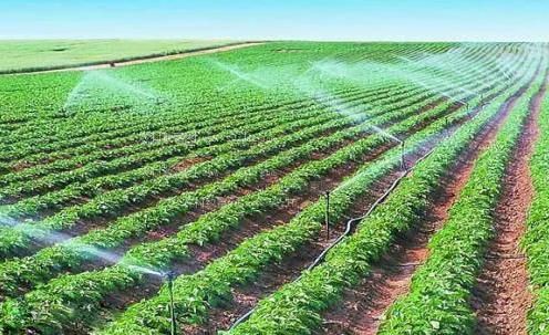 啊嗯好舒服快点视频农田高 效节水灌溉
